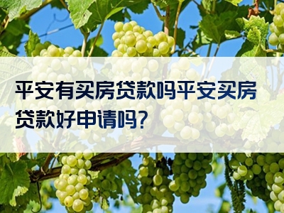 平安有买房贷款吗平安买房贷款好申请吗？