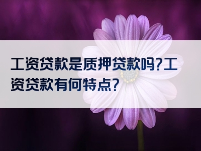 工资贷款是质押贷款吗？工资贷款有何特点？