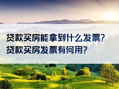 贷款买房能拿到什么发票？贷款买房发票有何用？