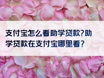 支付宝怎么看助学贷款？助学贷款在支付宝哪里看？