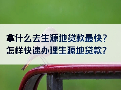 拿什么去生源地贷款最快？怎样快速办理生源地贷款？