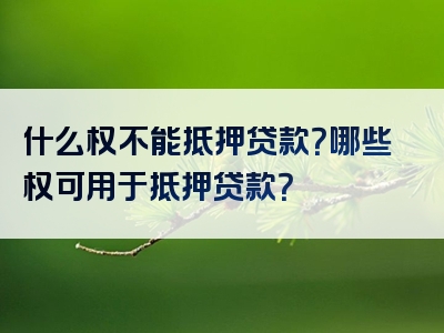 什么权不能抵押贷款？哪些权可用于抵押贷款？