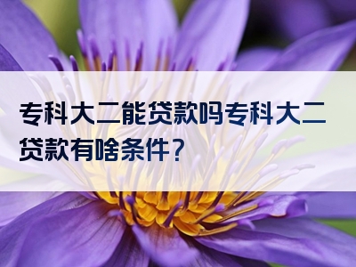 专科大二能贷款吗专科大二贷款有啥条件？