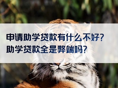 申请助学贷款有什么不好？助学贷款全是弊端吗？