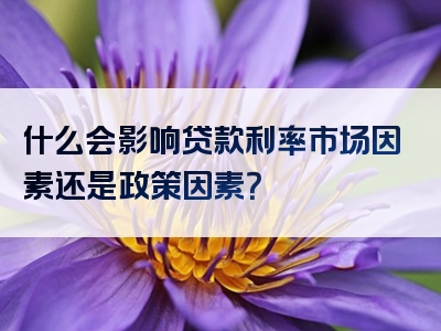 什么会影响贷款利率市场因素还是政策因素？