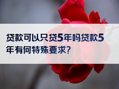 贷款可以只贷5年吗贷款5年有何特殊要求？