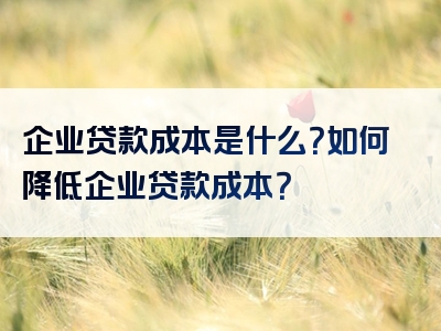 企业贷款成本是什么？如何降低企业贷款成本？