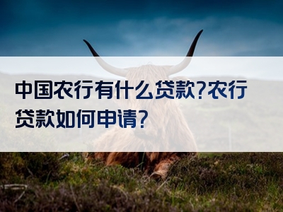 中国农行有什么贷款？农行贷款如何申请？