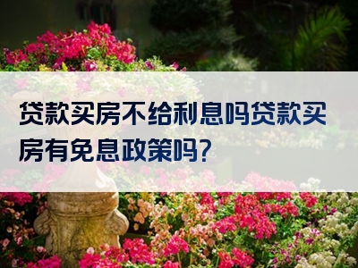 贷款买房不给利息吗贷款买房有免息政策吗？