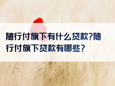 随行付旗下有什么贷款？随行付旗下贷款有哪些？