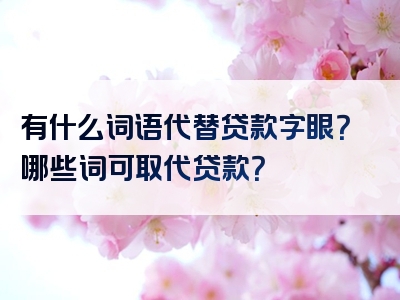 有什么词语代替贷款字眼？哪些词可取代贷款？