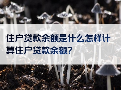 住户贷款余额是什么怎样计算住户贷款余额？