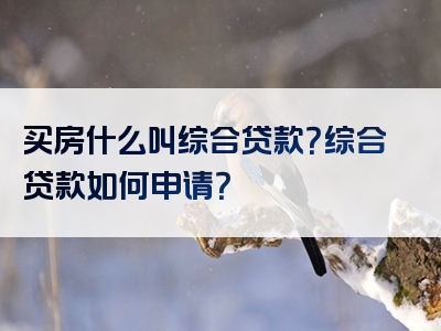 买房什么叫综合贷款？综合贷款如何申请？