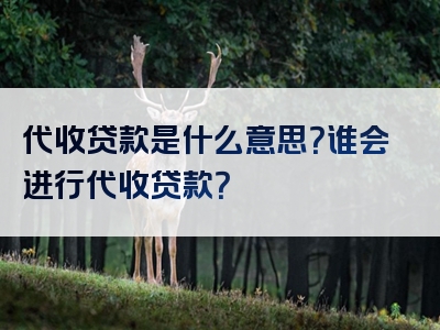 代收贷款是什么意思？谁会进行代收贷款？