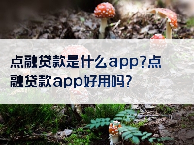 点融贷款是什么app？点融贷款app好用吗？