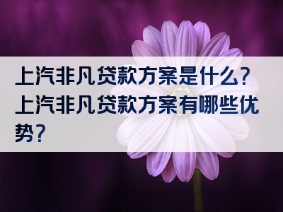 上汽非凡贷款方案是什么？上汽非凡贷款方案有哪些优势？