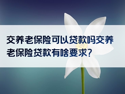 交养老保险可以贷款吗交养老保险贷款有啥要求？