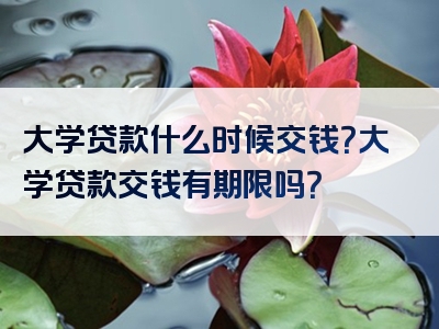 大学贷款什么时候交钱？大学贷款交钱有期限吗？