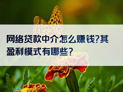 网络贷款中介怎么赚钱？其盈利模式有哪些？