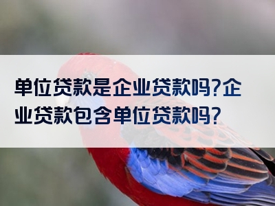 单位贷款是企业贷款吗？企业贷款包含单位贷款吗？