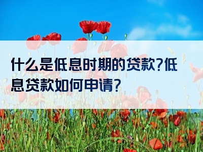 什么是低息时期的贷款？低息贷款如何申请？