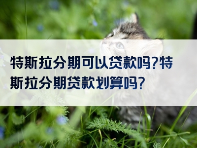 特斯拉分期可以贷款吗？特斯拉分期贷款划算吗？