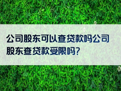 公司股东可以查贷款吗公司股东查贷款受限吗？