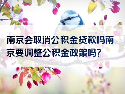 南京会取消公积金贷款吗南京要调整公积金政策吗？