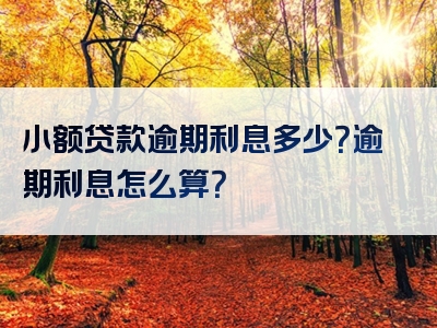 小额贷款逾期利息多少？逾期利息怎么算？