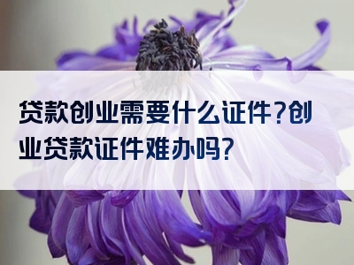 贷款创业需要什么证件？创业贷款证件难办吗？