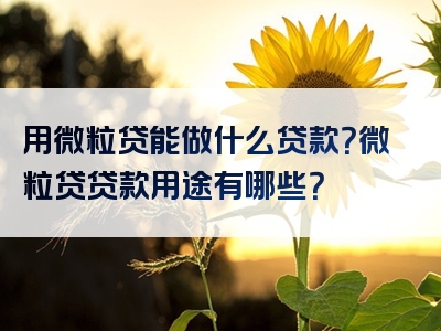 用微粒贷能做什么贷款？微粒贷贷款用途有哪些？