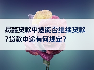 易鑫贷款中途能否继续贷款？贷款中途有何规定？