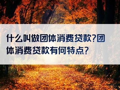 什么叫做团体消费贷款？团体消费贷款有何特点？