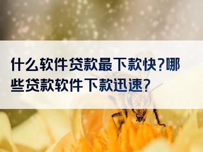 什么软件贷款最下款快？哪些贷款软件下款迅速？