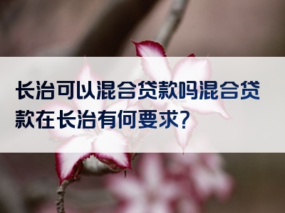 长治可以混合贷款吗混合贷款在长治有何要求？