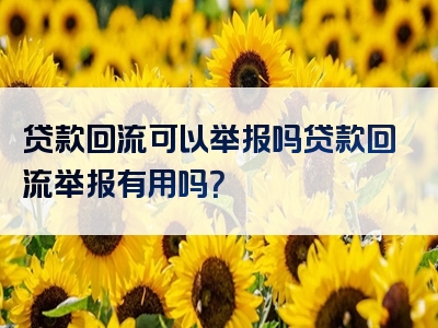 贷款回流可以举报吗贷款回流举报有用吗？