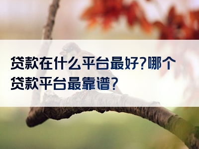 贷款在什么平台最好？哪个贷款平台最靠谱？