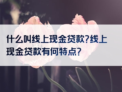 什么叫线上现金贷款？线上现金贷款有何特点？