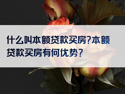 什么叫本额贷款买房？本额贷款买房有何优势？