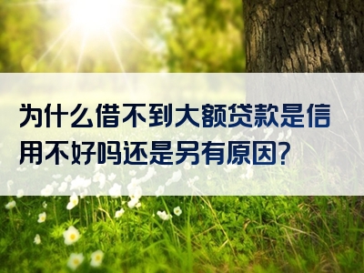 为什么借不到大额贷款是信用不好吗还是另有原因？