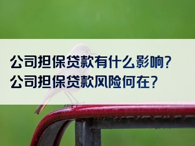 公司担保贷款有什么影响？公司担保贷款风险何在？