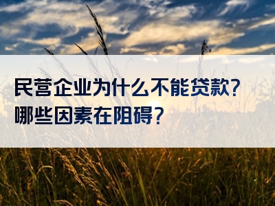 民营企业为什么不能贷款？哪些因素在阻碍？