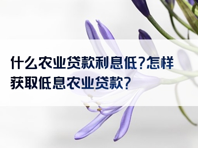 什么农业贷款利息低？怎样获取低息农业贷款？