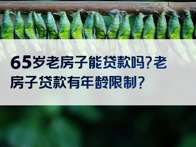 65岁老房子能贷款吗？老房子贷款有年龄限制？