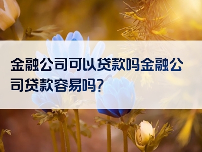 金融公司可以贷款吗金融公司贷款容易吗？