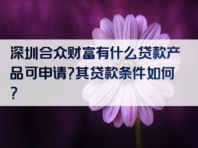 深圳合众财富有什么贷款产品可申请？其贷款条件如何？