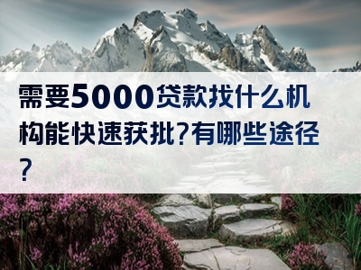 需要5000贷款找什么机构能快速获批？有哪些途径？