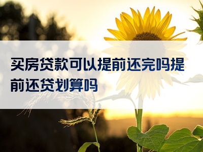 买房贷款可以提前还完吗提前还贷划算吗