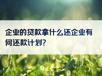 企业的贷款拿什么还企业有何还款计划？