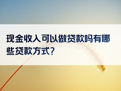 现金收入可以做贷款吗有哪些贷款方式？